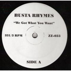 Busta Rhymes / The End - Busta Rhymes / The End - We Got What You Want / Broken Language Ii - ZZ 