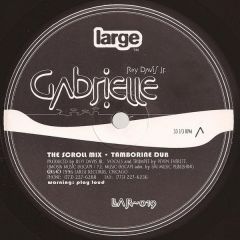 Roy Davis Jr - Roy Davis Jr - Gabriel - Large