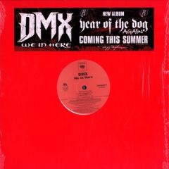 DMX  - DMX  - We In Here - Columbia
