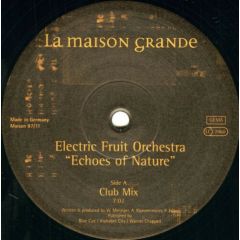 Electric Fruit Orchestra - Electric Fruit Orchestra - Echoes Of Nature - La Maison Grande
