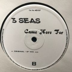 3 Seas - 3 Seas - Came Here For - Melting Pot Records