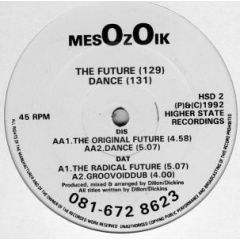 Mesozoik - Mesozoik - The Future EP - Higher State Records