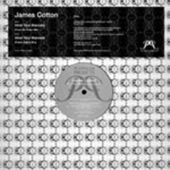 James T. Cotton - James T. Cotton - Mind Your Manners - Platinum Projects