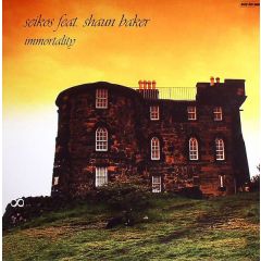 Seikos Feat. Shaun Baker - Seikos Feat. Shaun Baker - Immortality - Reality Bites Records