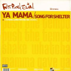 Fatboy Slim - Fatboy Slim - Ya Mama / Song For Shelter - Skint