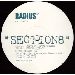 Section8 - Section8 - Drive By - Radius