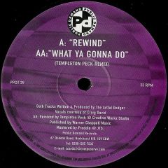 Artful Dodger Present Craig David  - Artful Dodger Present Craig David  - Rewind / What Ya Gonna Do - Public Demand