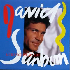 David Sanborn - David Sanborn - A Change Of Heart - Warner Bros