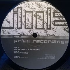 Vinylgroover & Trixxy - Vinylgroover & Trixxy - John Gotti's Revenge - Prime Recordings