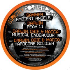 Gammer - Gammer - Ambient Angels / Peak 1.1 / Musical Endeavour / Hardcore Soldier - Strictly For The Pursuit