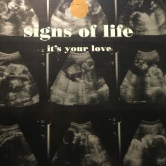 Signs Of Life - Signs Of Life - It's Your Love - Almo