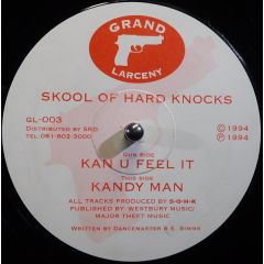 Skool Of Hard Knocks - Skool Of Hard Knocks - Kan U Feel It - Grand Larceny