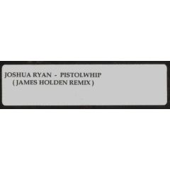 Joshua Ryan - Joshua Ryan - Pistolwhip (James Holden Remix) - NuLife Recordings