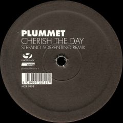 Plummet - Plummet - Cherish The Day (Remixes) - Motivo