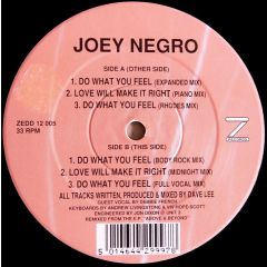 Joey Negro - Joey Negro - Do What You Feel - Z Records