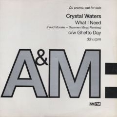 Crystal Waters - Crystal Waters - What I Need - Am:Pm