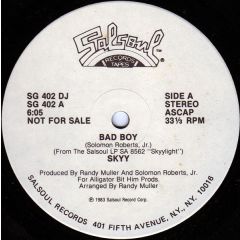 Skyy - Skyy - Bad Boy - Salsoul