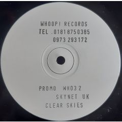 Skynet - Skynet - Clear Skies - Whoop