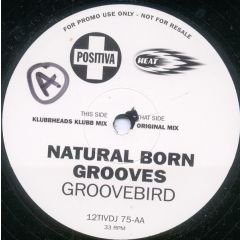 Natural Born Grooves - Natural Born Grooves - Groovebird - Positiva