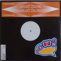 Digital Delinquents - Digital Delinquents - 2 Do Anything - White