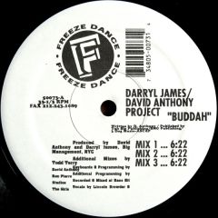 Darryl James & David Anthony - Darryl James & David Anthony - Buddah / It's Gettin Bigger - Freeze