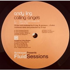 Andy Ling - Andy Ling - Calling Angels 2003 (Disc 1) - Fluid Sessions