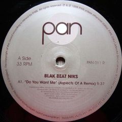 Blak Beat Niks - Blak Beat Niks - Do You Want Me (Remixes) - PAN
