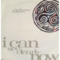 Hothouse Flowers - Hothouse Flowers - I Can See Clearly Now - London Records