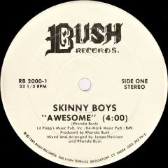 Skinny Boys - Skinny Boys - Awesome - Bush Records