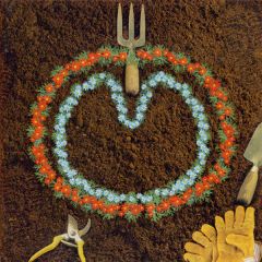 XTC - XTC - Homegrown - Idea