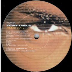 Kenny Larkin - Kenny Larkin - Seduce Her - Peacefrog
