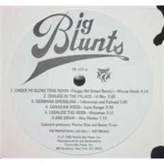 Tommy Boy Presents - Tommy Boy Presents - Big Blunts - Tommy Boy