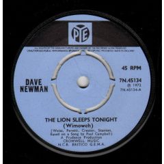 Dave Newman - Dave Newman - The Lion Sleeps Tonight (Wimoweh) - Pye Records