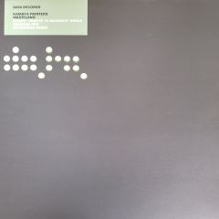 Kamaya Painters (DJ Tiesto) - Kamaya Painters (DJ Tiesto) - Wasteland - Data