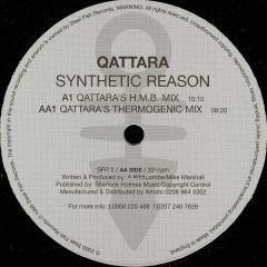 Qattara - Qattara - Synthetic Reason - Steel Fish