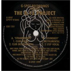 B15 Project - B15 Project - Strawberries - G Spot Records