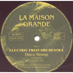 Electric Fruit Orchestra - Electric Fruit Orchestra - Disco Stomp - La Maison Grande