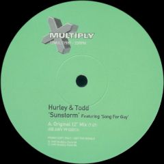 Hurley & Todd - Hurley & Todd - Sunstorm (Feat.Song For Guy) - Multiply