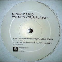 Craig David - Craig David - What's Your Flava? (Remixes) - Wildstar
