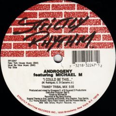 Androgeny & Michael M - Androgeny & Michael M - I Could Be This - Strictly Rhythm