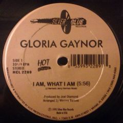 Gloria Gaynor / Robey - Gloria Gaynor / Robey - I Am, What I Am / One Night In Bangkok - Hot Classics