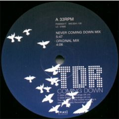 TDR - TDR - Coming Down - Pias