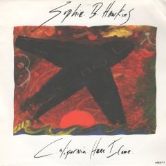 Sophie B. Hawkins - Sophie B. Hawkins - California Here I Come - Columbia