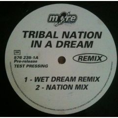 Tribal Nation - Tribal Nation - In A Dream - More Vinyl