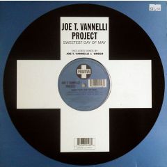 Joe T Vannelli Project - Joe T Vannelli Project - Sweetest Day Of May - Positiva