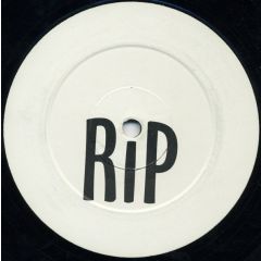 Y Tribe - Y Tribe - RIP - Northwest 10