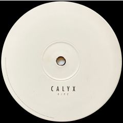 Calyx - Calyx - Downpour/Quagmire - Moving Shadow