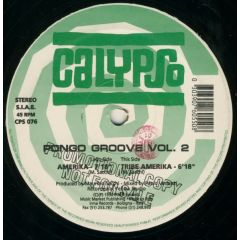 Pongo Groove Vol.2 - Pongo Groove Vol.2 - Americka / Tribe Amerika - Calypso Records