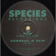  DJ Flip & Surreal -  DJ Flip & Surreal - How Does It Feel - Species Recordings
