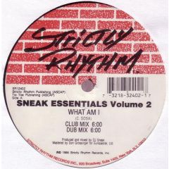 DJ Sneak - DJ Sneak - Sneak Essentials Volume 2 - Strictly Rhythm